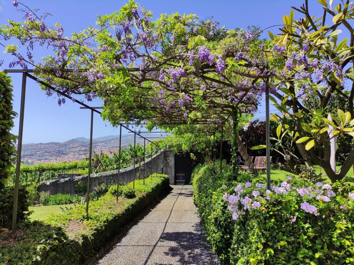 Quinta Sao Goncalo Bed & Breakfast Funchal  Exterior photo