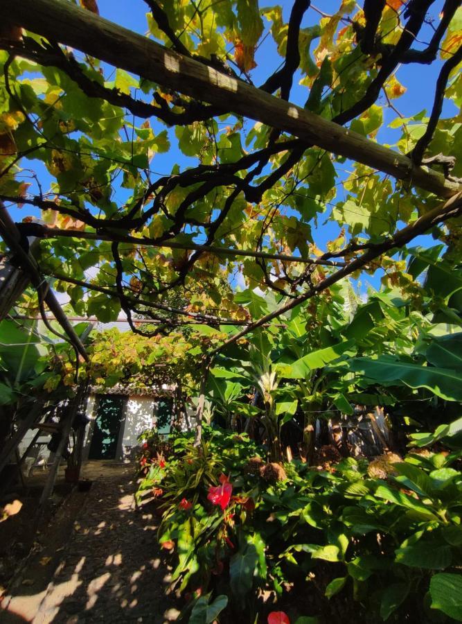 Quinta Sao Goncalo Bed & Breakfast Funchal  Exterior photo
